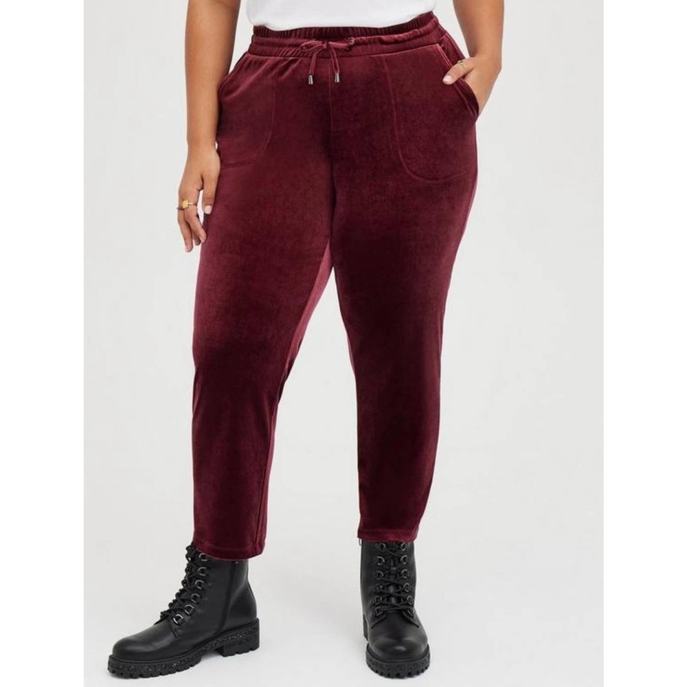 Torrid Velvet Pants 00 M/L